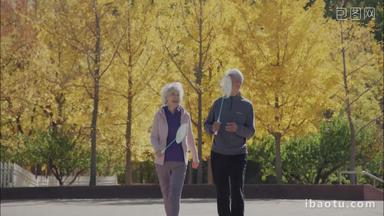 幸福的老年夫妇在公园里打羽毛球